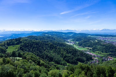 Scenic view of forest against sky