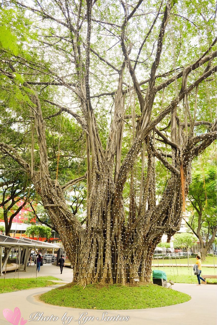 TOURISTS IN PARK