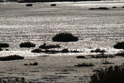 Scenic view of beach