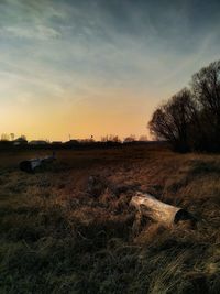 Scenic view of field against sky during sunset