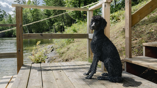 Rear view of woman standing on footbridge