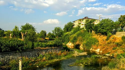 Scenic view of river by trees against sky