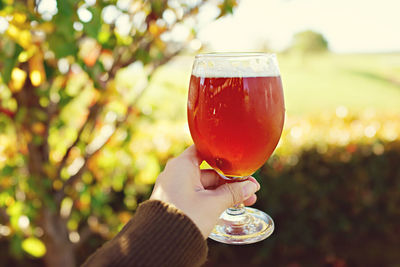 Close-up of hand holding drink