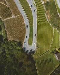 Aerial view of road amidst field