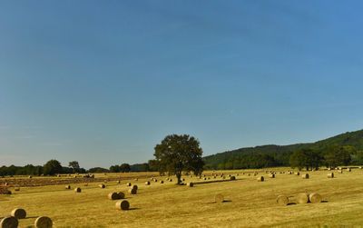 Hay bales on field against clear blue sky