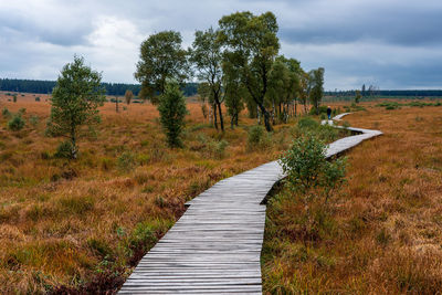 Footpath amidst trees on field against sky