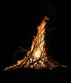 Firework display over silhouette trees on field at night