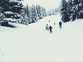 Tourists on snow covered mountain