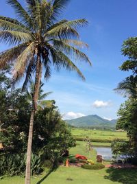 Scenic view of trees and mountains against sky