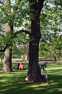 People relaxing in park