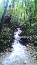 River flowing through rocks