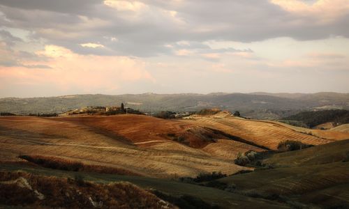 Scenic view of agricultural field against sky