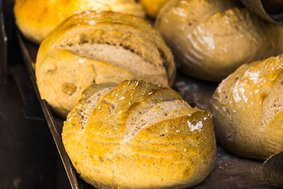 Freshly baked bread on a baking tray