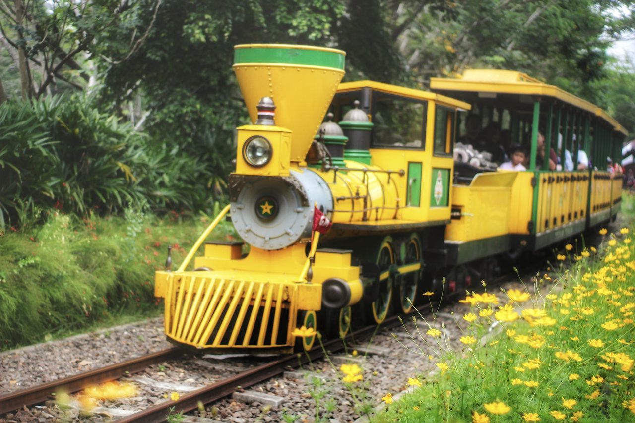 TRAIN AT RAILROAD TRACK