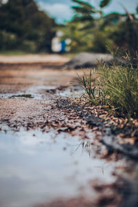 Surface level of dirt road on field