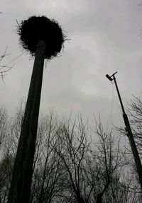 Low angle view of bare trees against sky