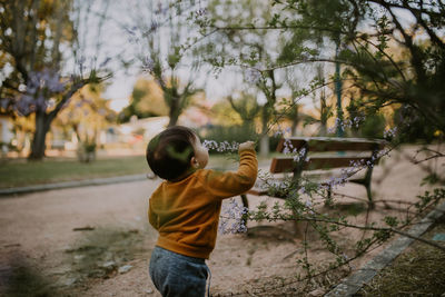 Full length of boy standing by tree