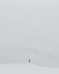Solitude in a foggy winter morning on the mountain.