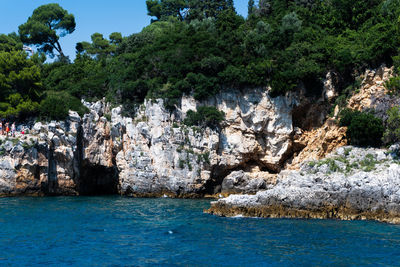 Scenic view of sea against trees