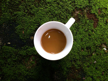 High angle view of tea cup on grass