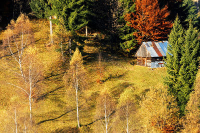 High angle view of barn amidst trees during autumn