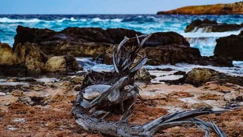 Driftwood on rocks by sea against sky