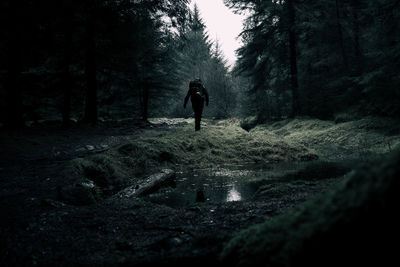 Mysterious hiker walking alone through a dark green forest in winter