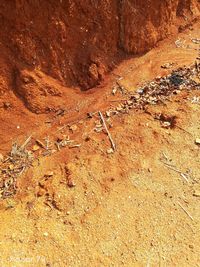 High angle view of rocks on land