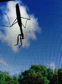 Low angle view of people against blue sky