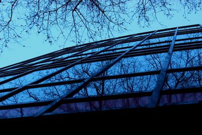 Low angle view of bare trees against blue sky