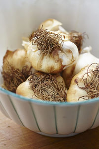 Close-up of garlic bulbs in bowl on table