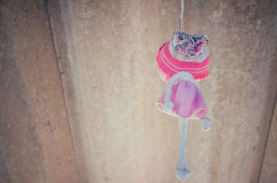 Close-up of pink hanging