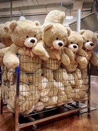 Stuffed toy in store