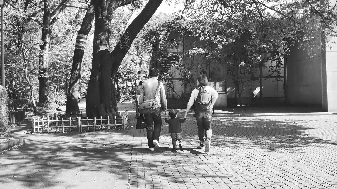 REAR VIEW OF PEOPLE WALKING ON FOOTPATH BY TREES IN CITY