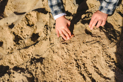 High angle view of people on sand at beach