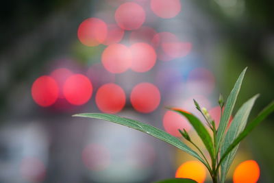 Defocused image of illuminated lights