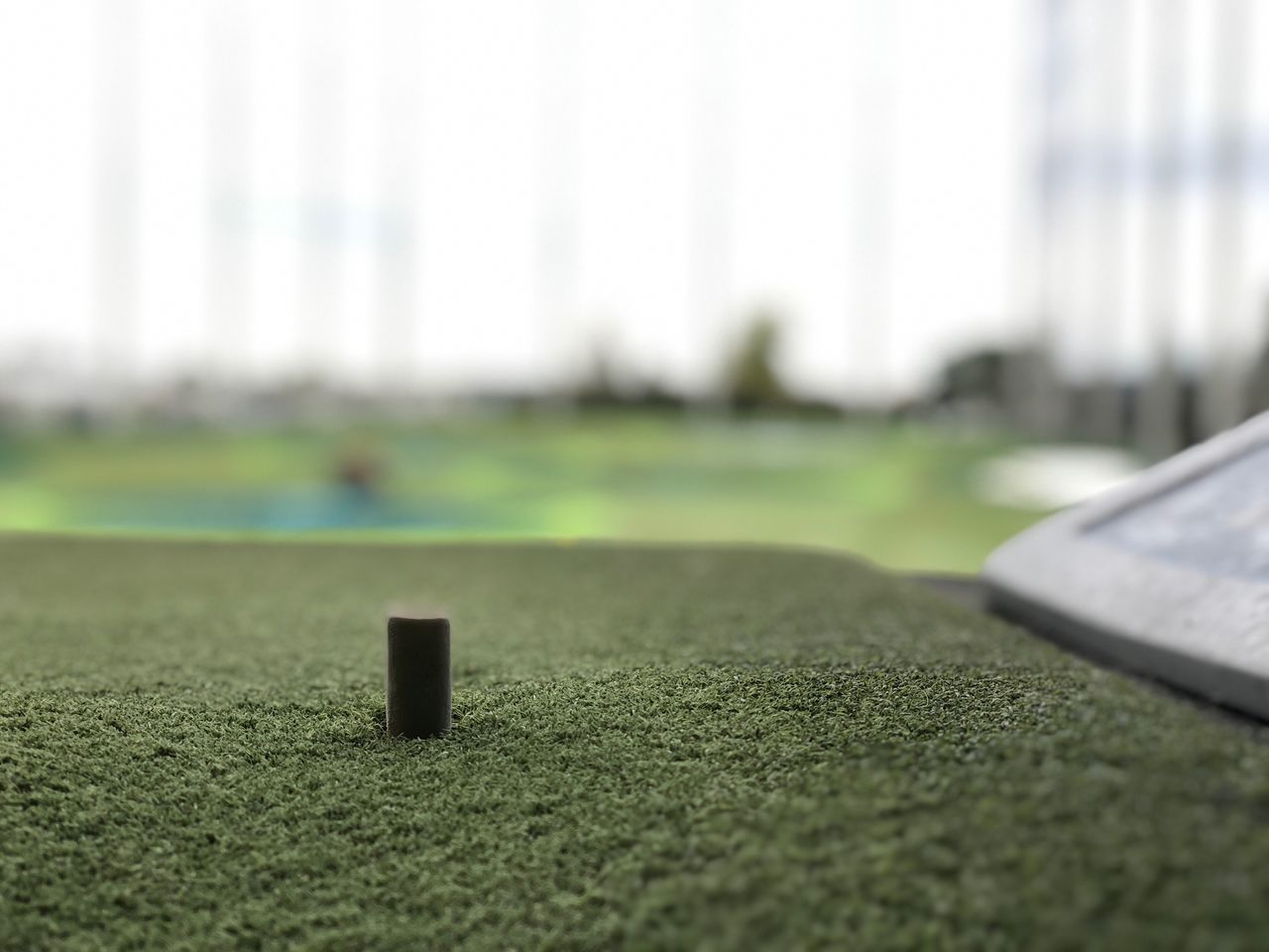 CLOSE-UP OF STONE ON FIELD BY GRASS