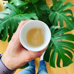 Close-up of hand holding tea cup