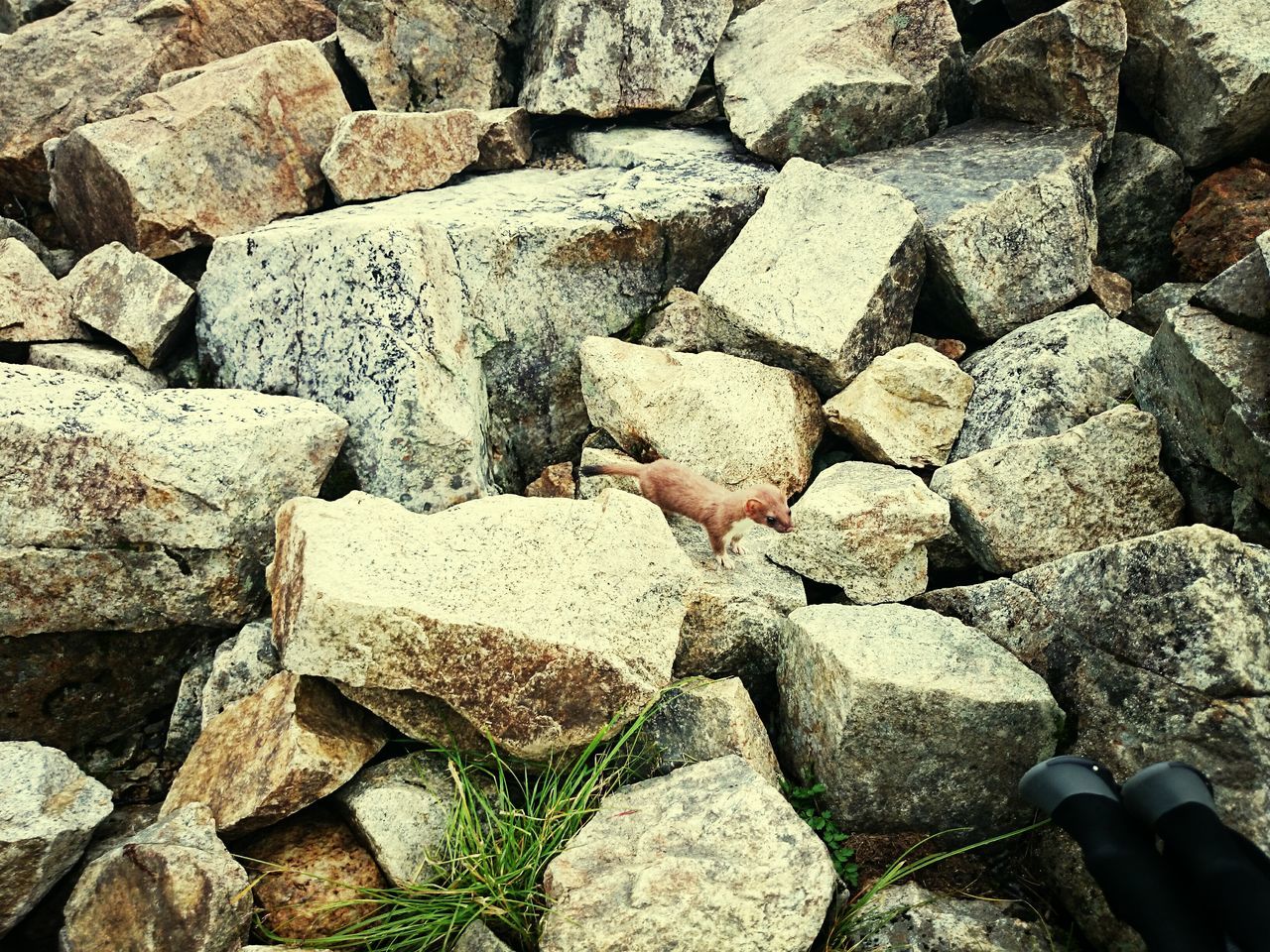 full frame, backgrounds, textured, nature, rock - object, rough, abundance, high angle view, close-up, pattern, natural pattern, day, stone - object, outdoors, no people, stone, large group of objects, cracked, stone wall, detail