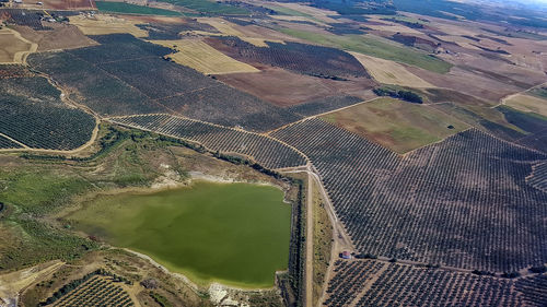 High angle view of agricultural field