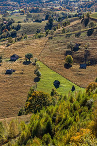 High angle view of trees on field