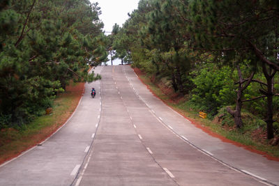 Road amidst trees against sky