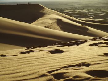 Aerial view of sand dunes in desert