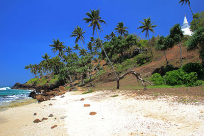 Scenic view of beach against clear blue sky