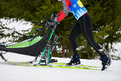 Husky sled dog racing. winter dog sport sled team competition. siberian husky dogs pull sled