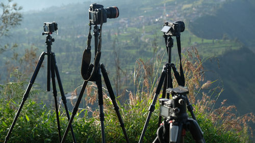 Man photographing on field