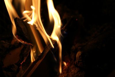 Close-up of bonfire at night