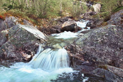 Scenic view of waterfall in forest