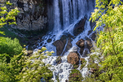 Scenic view of waterfall in forest