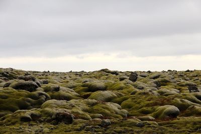 Scenic view of rocks against sky